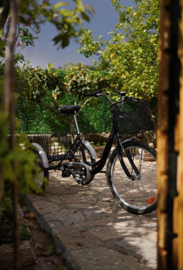 Lb Boutique Hotel Kumluca Εξωτερικό φωτογραφία